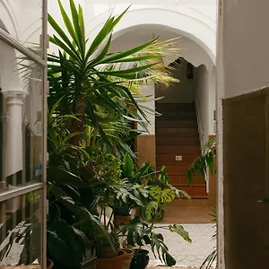 Guest house Africa, Tarifa